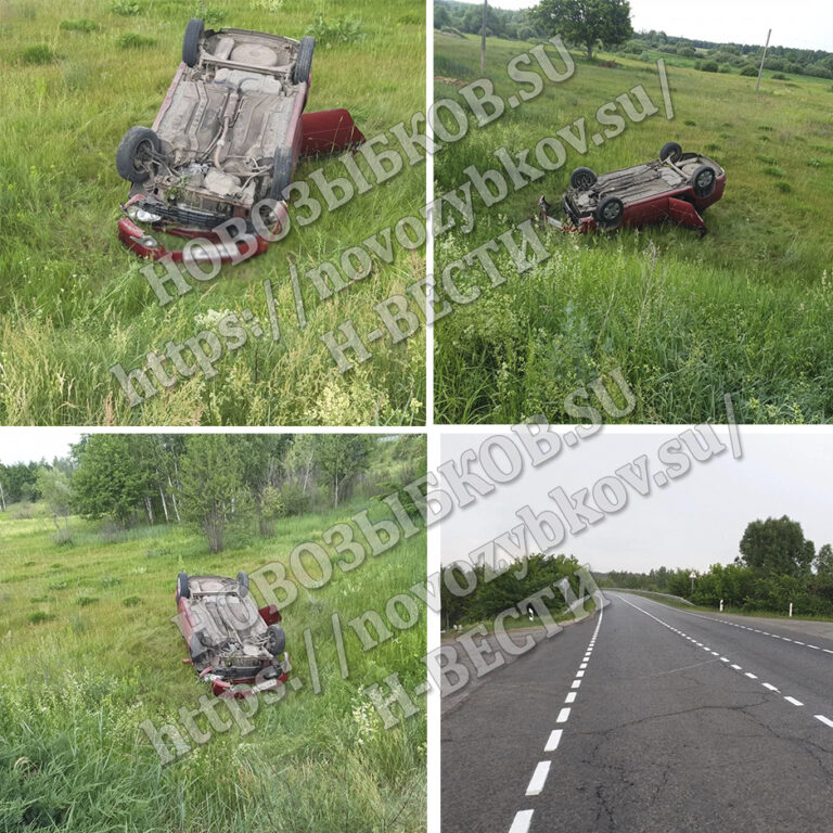 Водитель и пассажиры выжили в аварии под Новозыбковом Брянской области