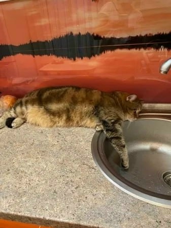 В Новозыбкове тысячи жителей оставались без водоснабжения из‑за отключения электричества