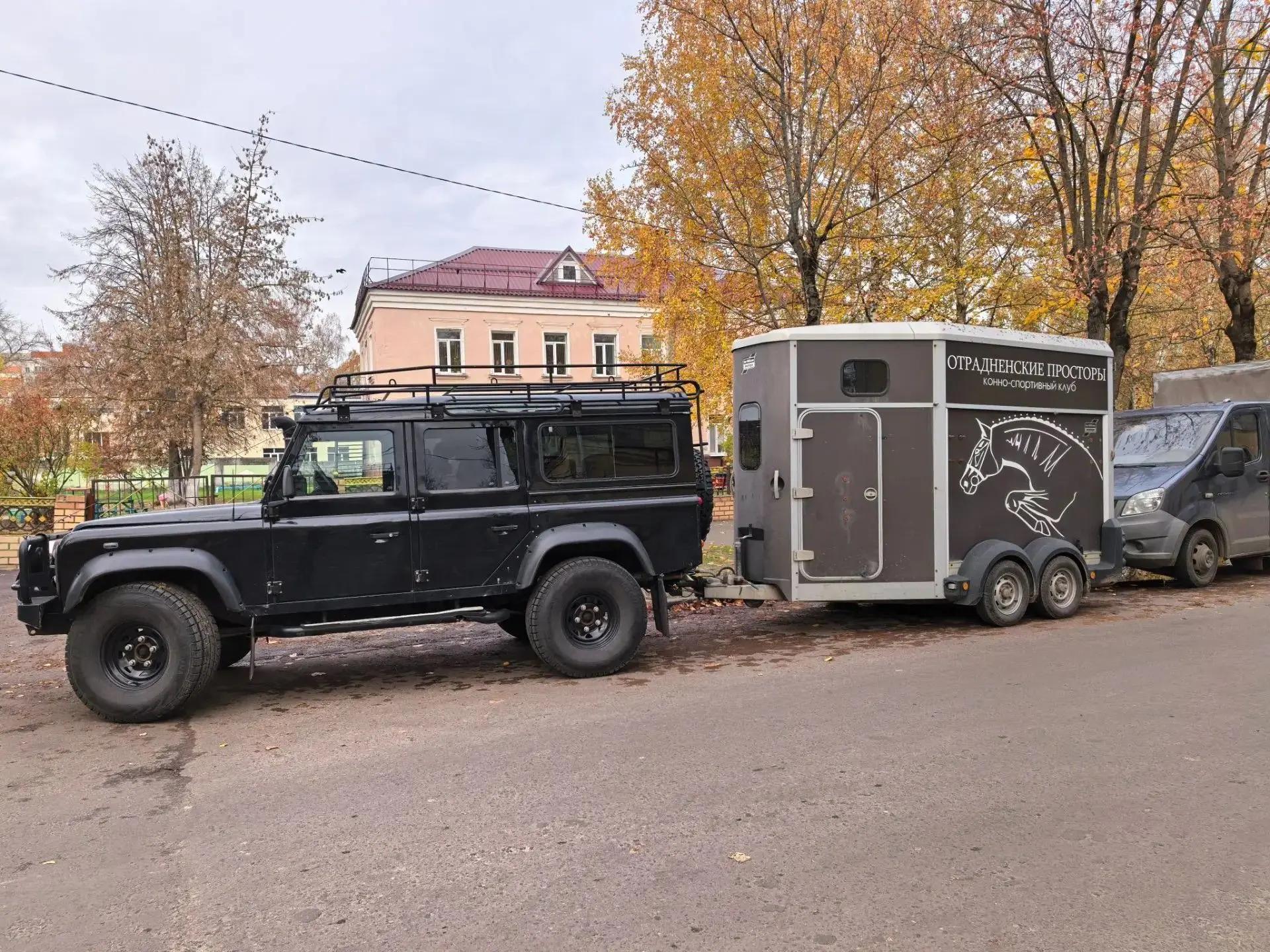 У гулявшей по улицам Брянска коровы нашелся хозяин